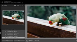 The fader для lightroom как установить