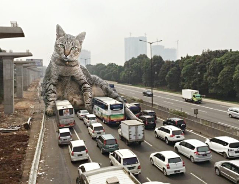 巨猫大战哥斯拉图片