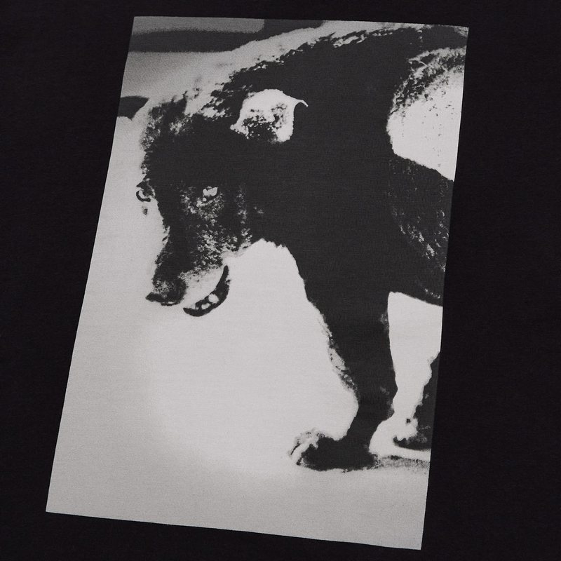 Uniqlo X 森山大道5 作品包括《三澤之犬》推出黑白灰T 恤-攝影札記